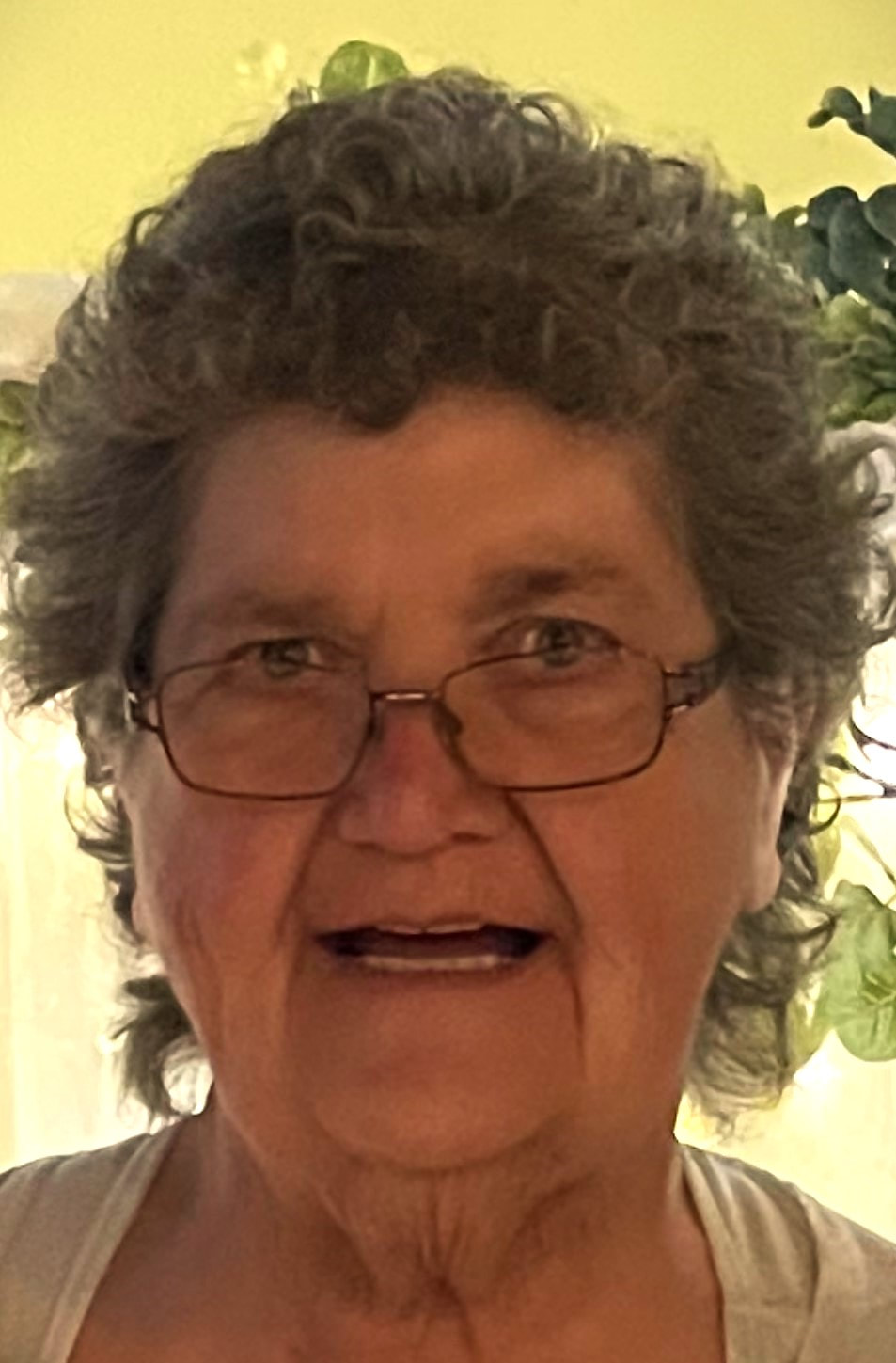 Lois Brooks Obituary 2022 - Ward Funeral Homes